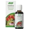 A. VOGEL Vogel Cistoforce lašai 50ml