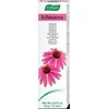 A. VOGEL Vogel Dentaforce Ežiuolė 100g