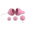 "Adrien Lastic Pelvix Concept" dubens dugno treniruoklis