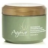 Agave Healing Oil Agave Oil Resorative Hydrating Mask 250ml