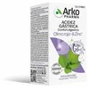 Arkopharma Gastric Acidity Digestive Comfort Slippery Elm - Zinc 40 Capsules