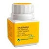 Botanica Nutrients BotanicaNutrients Valerijonas 60 kapsulių
