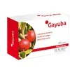 Eladiet Gayuba 60 Comp De 330 Mg