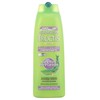 Garnier Fructis Hidra Rizos Champú, 300 ml