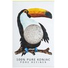 Konjac, Rainforest Toucan, makiažo kempinėlė