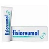 Laboratorios Vinas Vines Fisioreumol kremas 50ml