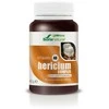 Mgdose Hericium kompleksas