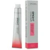 Eurostil Tassel Bright Color Tinte 6 1un