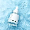 Round Lab 1025 Dokdo Ampoule drėkinamoji veido ampulė, 45 g