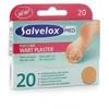 Salvelox karpos Apositos 20 vienetų