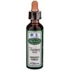 Santiveri Bach Atkūrimas plius 20ml