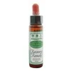 Santiveri Bacho atstatomoji priemonė 10ml