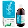 Santiveri Dynamic Art kolageno skystis 240ml
