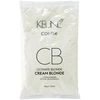 Set Keune Kreminis Skirtas šviesiems plaukams Hair Oxidant Powder Refill, 2 pcs, 500g