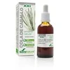 Soria Asiūklio ekstraktas S Xxi 50ml