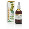 Soria Composor 11 Digeslan Complex Siglo Xxi 50ml