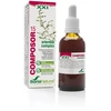 Soria Komposor 15 Artemisos Kompleksas XXi 50ml