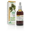 Soria Composor 19 Depulanas S Xxi 50ml