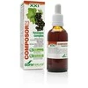 Soria Composor 23 Hyssopus S Xx1 50ml