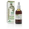 Soria Composor 25 Lepidiumai Xxi 50ml