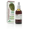 Soria Composor 26 Phalaris S Xxi 50ml