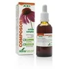 Soria Composor 8 Ežiuolė S Xxi 50ml