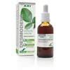 Soria Desmodens ekstraktas S Xxi 50ml