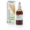 Soria Drosera ekstraktas S Xxi 50ml