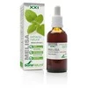 Soria Extracto De Melisa S Xxi 50ml