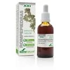 Soria Extracto Natūralus rompepiedros lapų Lepidium latifolium L. ekstraktas augaliniame glicerine S Xxi 50ml
