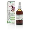 Soria Fumaria ekstraktas S Xxi 50ml