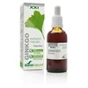 Soria Ginkgo biloba ekstraktas S Xxi 50ml