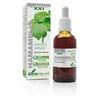 Soria Hamamelio ekstraktas S Xxi 50ml