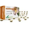Soria Harpagofito 600 Mg 60 vnt
