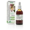 Soria Harpagofito ekstraktas S Xxi 50ml
