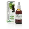 Soria Juodųjų serbentų ekstraktas S Xxi 50ml