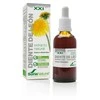 Soria Kiaulpienių ekstraktas S Xxi 50ml