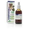 Soria Kompozitorius 20 Harpa S Xxi 50ml