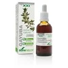 Soria Meškauogių ekstraktas S Xxi 50ml