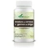 Soria Natural Alecosor kviečių gemalų-mielių alaus tabletė