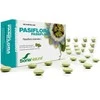 Soria Pasiflora 600 Mg 60 vnt