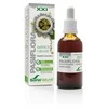 Soria Pasifloros ekstraktas S Xxi 50ml