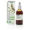 Soria Saldymedžio ekstraktasS Xxi 50ml