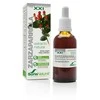 Soria Sarsaparilės ekstraktas S Xxi 50ml