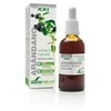 Soria Spanguolių ekstraktas S Xxi 50ml