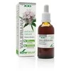 Soria Valerijono ekstraktas S Xxi 50ml