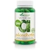 Soria Verde Artišokai S Xxi 500 mg 80 kapsulių