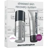 Streso paveiktos odos atkūrimo sistemos rinkinys „Dermalogica“: multivitaminų „Power Recovery“ kreminis veidui, 50 ml + multivitaminų „Power Recovery“ antistresinė kreminio kaukė veidui, 75 ml