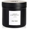 Aromatinė žvakė Urban Apothecary Fig Tree, 175 g