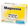 Vallesol šnypščiantis magnis B 24vnt